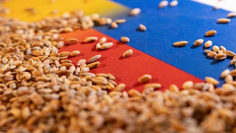 Russia resumes participation in Ukraine grain deal