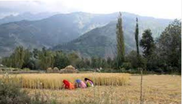 New land laws attack on Kashmiris economic rights: DAP