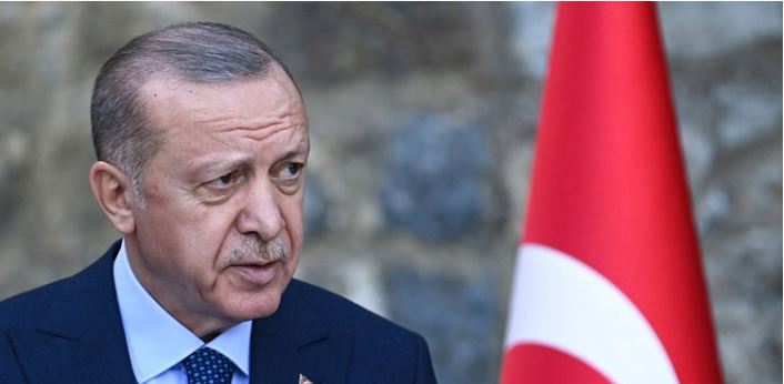 Erdogan tells Putin ceasefire needed in Ukraine peace