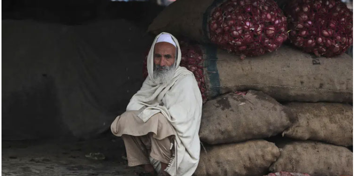 Rising prices, food insecurity add to ranks of hungry: FAO