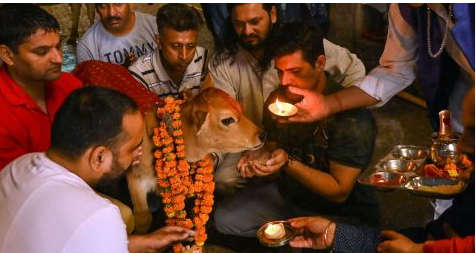 India wants to replace Valentine’s Day with ‘Cow Hug Day’
