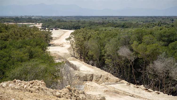 Climate change: Dominican border wall threatens environment, mangroves