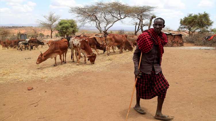 Horn of Africa drought not possible without climate change, study says