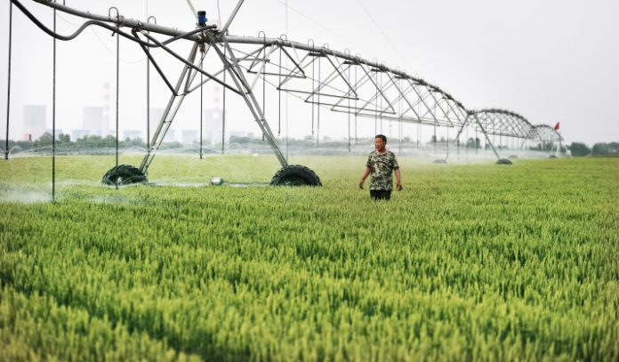 China’s water-saving agriculture technology benefits BRI countries